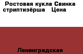 Ростовая кукла Свинка-стриптизёрша › Цена ­ 16 000 - Ленинградская обл., Санкт-Петербург г. Одежда, обувь и аксессуары » Услуги   . Ленинградская обл.